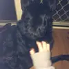billie_blackert - @billie_blackert - TikTok