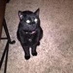 Billy Blackerby - @baby6969huey - Instagram
