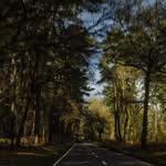 Billy Blackham - @billy.blackham - Instagram