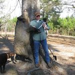 Bill Blades - @wllblades - Instagram