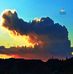 William Blalock - Facebook