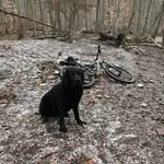 Bill Blaser - @blaserbill - Instagram