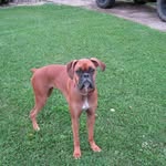 Bill Bleakley - @bbleakley1960 - Instagram