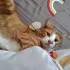 billblitzbill - @billmayan - TikTok