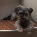 Billy Blitz - @billy.blitz - Instagram