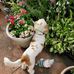 Bill Bliven - Facebook