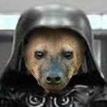 Bill Bloomer - @darque_hellmutt - Instagram