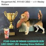 Bill Blume - @bandwbeagles - Instagram