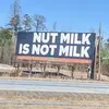bill board - @billyyyyyboard - TikTok