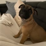 Butz - @billbolin226 - Instagram
