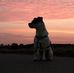 Billy Borchers - Facebook