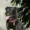 billborders - @billborders - TikTok