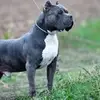 Bill Le Boucher - @bill.le.boucher0 - TikTok