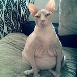 D-bill Boucher - @tocker.boucher - Instagram