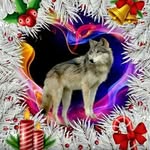 Bill Bowling - @bill.bowling.9028 - Instagram
