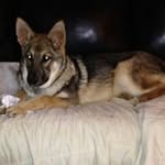 Bill Bowling - @bill.bowling - Instagram