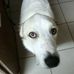 Billy Boydston - Facebook