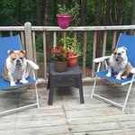 Bill Boyland - @billboyland - Instagram