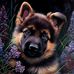 William Brandon - Facebook