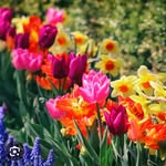 Braxton - @braxton_bills_connect - Instagram