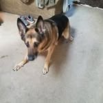 Bill Hambrecht - @billhambrecht - Instagram