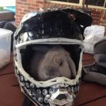 Bill Bretherton - @570_berg_man - Instagram