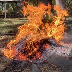Bill Brimmer - @ilovecamp7191990 - Instagram