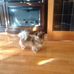 Bill N Donna Brisbin - Facebook