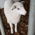 William Brisbin - @williambrisbin - Instagram