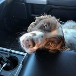 Bill Brockett - @billbrockett - Instagram