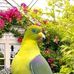 William Broker - Facebook