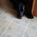 Bill Brooke - @bill.brooke.7923 - Instagram