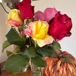 Bill Broomfield - @billbroomfield1 - Instagram