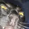 BillysWombBroom - @billyswombbroom - TikTok