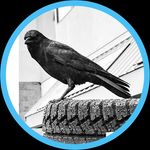 Bill Broughton - @sos_tire_and_wheel - Instagram