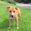 Bill Broughton - @bill.broughton - TikTok
