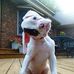 Bill Broughton - Facebook