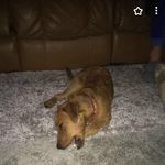 Bill Broughton - @bill.broughton.144 - Instagram