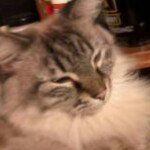 Bill.Brownell2015 - @wfb523 - Instagram