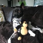 Bill Bruce - @2bmbruce - Instagram