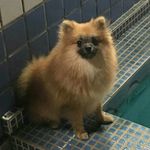 Billy - @billy_brugger - Instagram