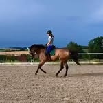 @brummelbilly - Instagram
