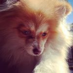 Billy Bob Brüning Alexandre - @billy_oficial3 - Instagram