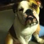 Bubba Bill - @bubbabill2187 - Instagram