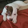 bubbabill - @bubbabill55 - TikTok