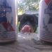 Bill Bubeck - Facebook