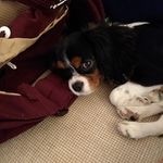 Bill Buckingham - @willyd1949 - Instagram