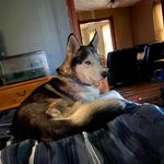 Bill Buckley - @bill.buckley.3363 - Instagram