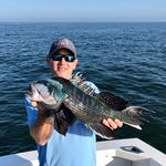 Bill Buckley - @billbuckley3 - Instagram