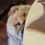 Bill Buell - @sitze_gou - Instagram